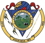 Brasão de Água Boa